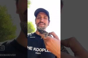 Guy rescues a little dragon sitting in the road!
