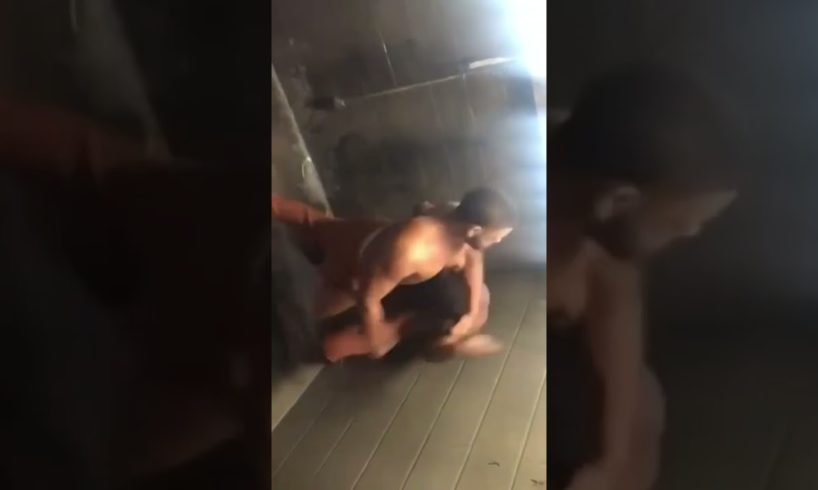 HOOD fights in the County jail🩸￼