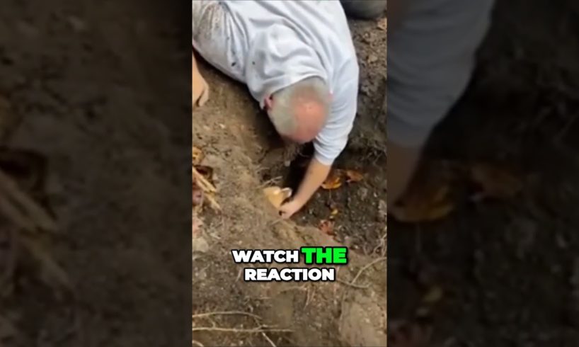 Heartwarming Reunion Owner Rescues Dog Stuck in Pipe After 3 Days  #dog #save #rescue #shorts