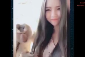 Hot Girl With Funniest Animals  TikTok Video | Best Of Funny Animal Videos #6  Random Animals Chanel