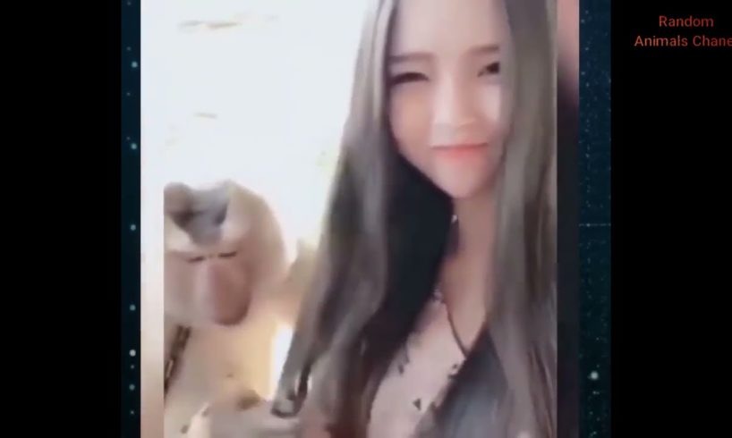 Hot Girl With Funniest Animals TikTok Video | Best Of Funny Animal Videos #6 Random Animals Chanel