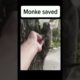 INCREDIBLE Rescue Saves Monke! 😱🐒