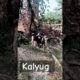 Kalyug start ll Help kro YouTube family  #cow #cowvideos #rescue #help #viralvideo #goviral