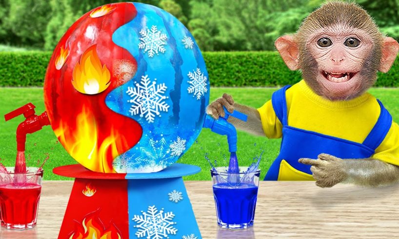 KiKi Monkey playing with Magical Red vs Blue Watermelon Life Hacks | KUDO ANIMAL KIKI