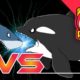 Killer Whale vs. Great White Shark | Animal battle | for Toddlers | funny video | REDMON