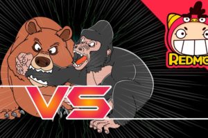 Kodiak Bear vs. Gorilla | Animal battle | zoo animals | for Toddlers | funny video | REDMON