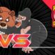 Kodiak Bear vs. Gorilla | Animal battle | zoo animals | for Toddlers | funny video | REDMON