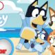 🔴 LIVE! Bluey Full Episodes | The Doctor, Keepy Uppy, Dance Mode, and MORE! |  @disneyjunior