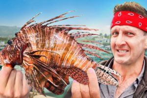 Lebanon’s Most VENOMOUS Fish!! Scary Middle Eastern Seafood!!