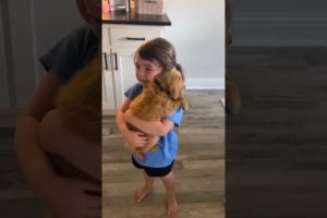 Little girl sobs as she holds her new puppy | Humankind #Shorts