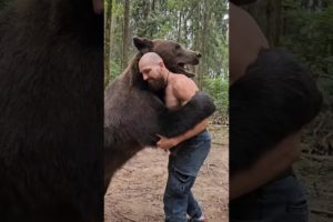 Man Vs Bear Play #animals #wildlife #subscribe