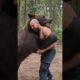 Man Vs Bear Play #animals #wildlife #subscribe