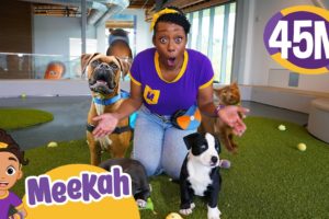 Meekah Pets Cute Puppies at Pet Space! | Learn to Take Care of Animals - Blippi & Meekah Kids TV