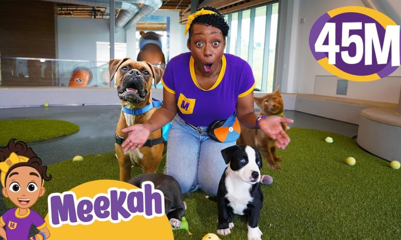 Meekah Pets Cute Puppies at Pet Space! | Learn to Take Care of Animals - Blippi & Meekah Kids TV