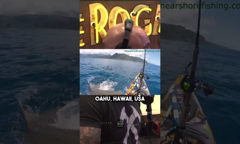 Near Death Experience in Hawaii caught on camera #joerogan #jre #shorts #shark
