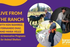 New & Innovative Programs for Animal Shelters • Fernando Diaz, Mara Velez & Ken Ramirez