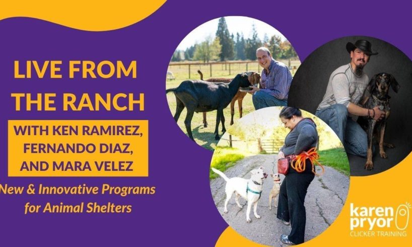 New & Innovative Programs for Animal Shelters • Fernando Diaz, Mara Velez & Ken Ramirez