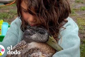 Niña pequeña rescata un huevo y termina con una mejor amiga | El Dodo