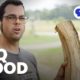 Oak, Mesquite, Pecan or Hickory? Picking the Right Barbecue Wood | BBQ with Franklin | Full Episode