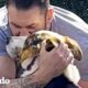 Perro asustado se derrite en los brazos de su nuevo papá | El Dodo