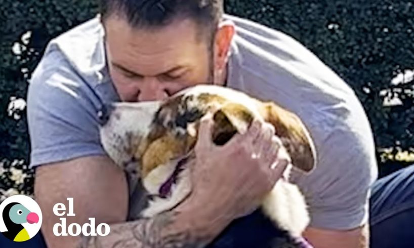 Perro asustado se derrite en los brazos de su nuevo papá | El Dodo