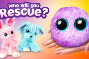 Pick Your New Pet And Rescue It! || Reveal Your New Fluffy SCRUFF-A-LUV