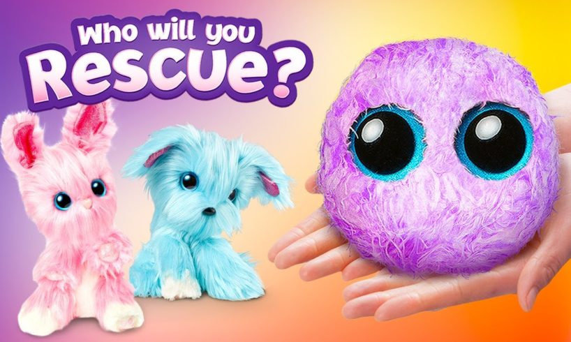 Pick Your New Pet And Rescue It! || Reveal Your New Fluffy SCRUFF-A-LUV