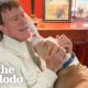 Rescue Pittie Wins Grandpa Over | The Dodo