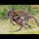 The Best Of Best Leopard Attacks - Most Amazing Moments Of Wild Animal Fights