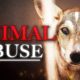 The Disturbing Side of YouTube Animal Rescues