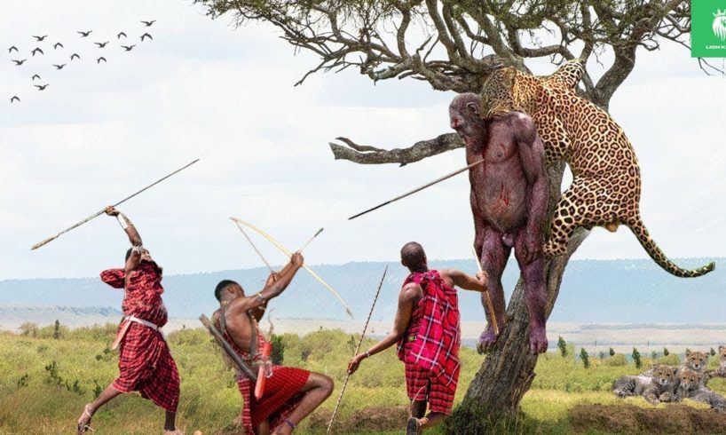 The Maasai Warriors Rise Up To Attack The Jaguars Non-Stop And The End ! | Animal Fights