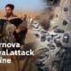 Timeline of a massacre - Israel Supernova festival attack explained