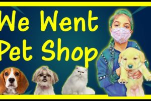 We Went Pet Shop and Met Cute Puppies | Family and Dog Vlogs | Harpreet SDC