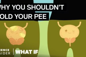 What Happens If You Hold Your Pee In For Too Long