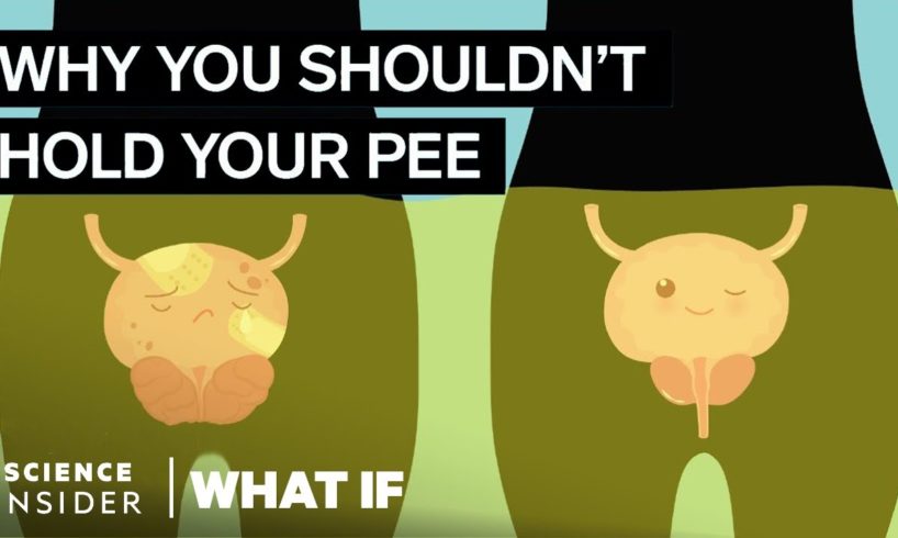 What Happens If You Hold Your Pee In For Too Long