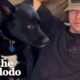 Woman Brings Home A Dog Hoping Her Family Gets Along With Him | The Dodo