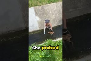Woman Rescues Baby Fawn from Drain🥹💕