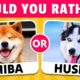 Would You Rather...? DOGS Edition 🐶