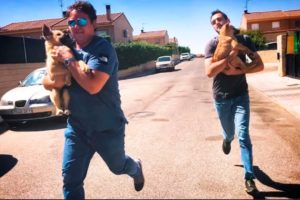 You have never seen anything like this… we rescued the puppies and RAN AWAY!
