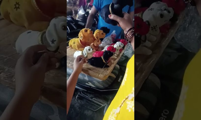 cute cute puppies 🤩#youtubeshorts #shortvideo #viral #puppies #happiness