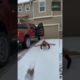 fails compilation ! fails of the week #funnylaughing #funny