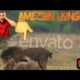 jungle animal hd video #wild animal name jungle #jungle animal fights #animal funny video#lion