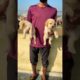 🥰😘labrador cute puppies 😘🥰#trending#viral #video#dog #puppy #love#like#shere#comments#subscribe