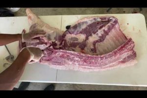 "Hog Wild Adventures: From Farm to Table - Home Pig Processing Done Right!"