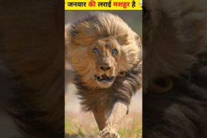 जंगली जानवरों की सबसे भयंकर लड़ाइयां | Craziest Fights of Wild Animals Animal Fights in Hindi #shorts