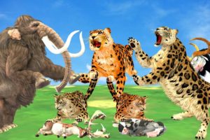 10 Zombie Leopards vs Big Bulls Cartoon Rescue Animal Fights Cow Saved By Woolly Mammoth Elephant