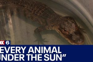 112 animals rescued from Milwaukee home; 'every animal under the sun' | FOX6 News Milwaukee