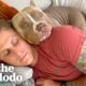 5 Reasons You'll Regret Adopting A Pittie | The Dodo