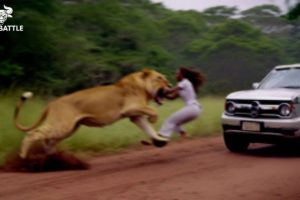 75 Moments Wild Animal Fight , What Happens Next | Animal Fight ▶ 28