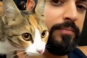 A Stray Kitten's Happy Ending: Man Befriends Stray Kitten at Coffee Shop